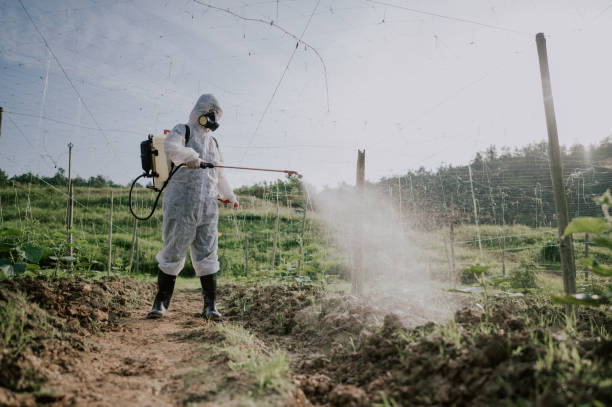 Best Pest Prevention Services  in Genola, UT