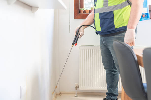 Best Wasp Removal Services  in Genola, UT