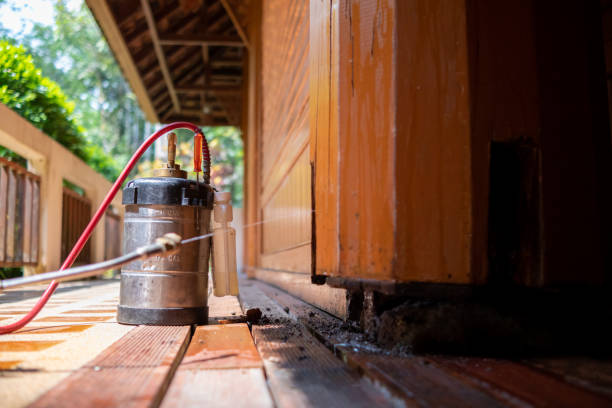 Best Exterminator Services  in Genola, UT