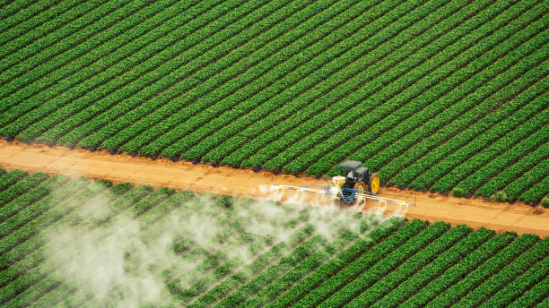 Best Pest Prevention Services  in Genola, UT