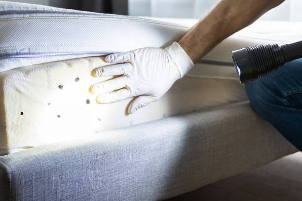 Best Emergency Pest Control  in Genola, UT