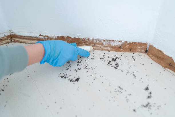 Best Wildlife Control Services  in Genola, UT